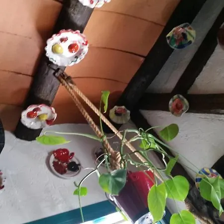 La Ninfa * グラナダ